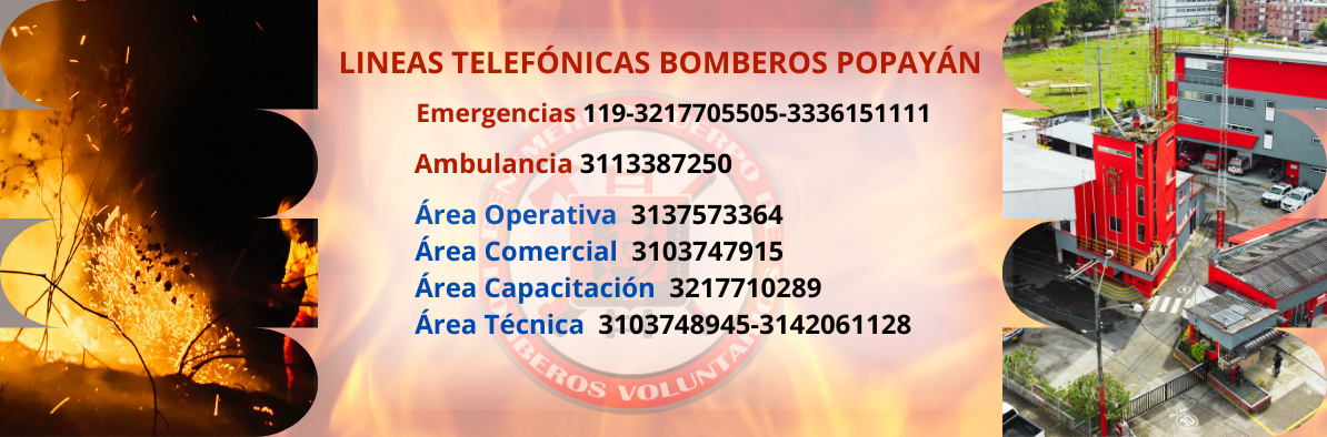Portada.png